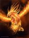 image : 
