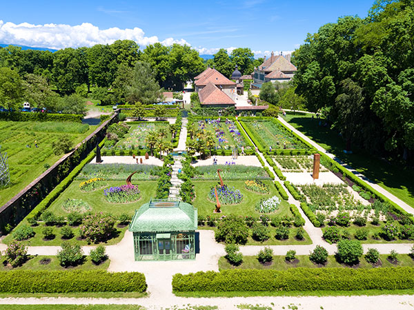 Château de Vullierens - Iris